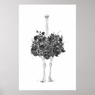 Floral ostrich poster