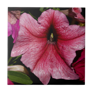 Floral Outburst Ceramic Tile