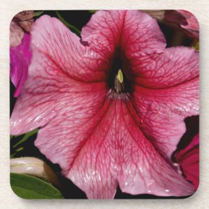 Floral Outburst Coaster