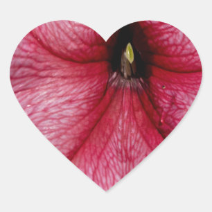 Floral Outburst Heart Sticker