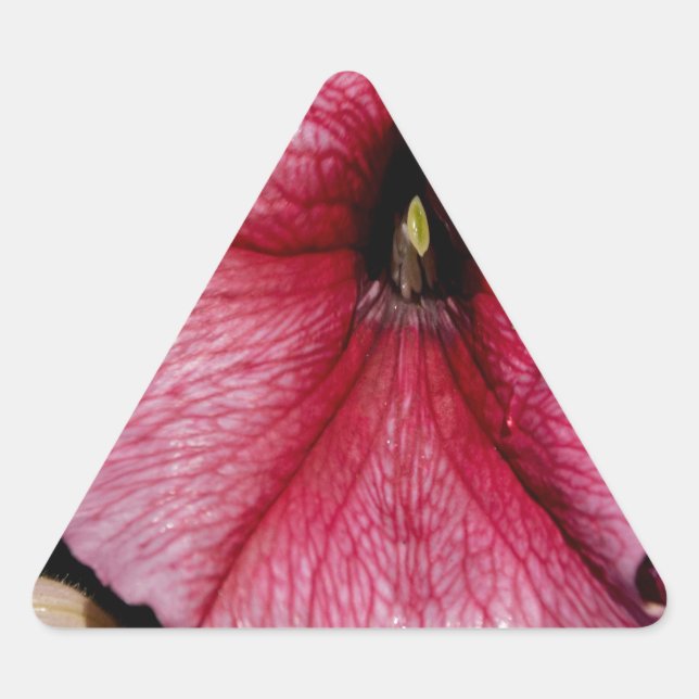 Floral Outburst Triangle Sticker (Front)