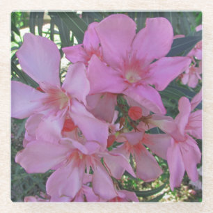 Floral Pastel Pink Long Petal Bloom Photo Flower Glass Coaster