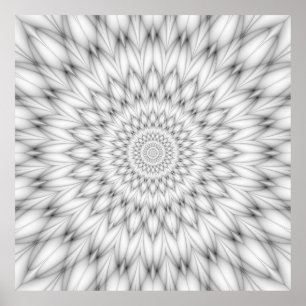 Floral Pattern in Black and White Poster