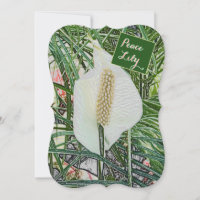 FLORAL/PEACE LILY/ "BLESSED ARE THE. PEACEMAKERS"
