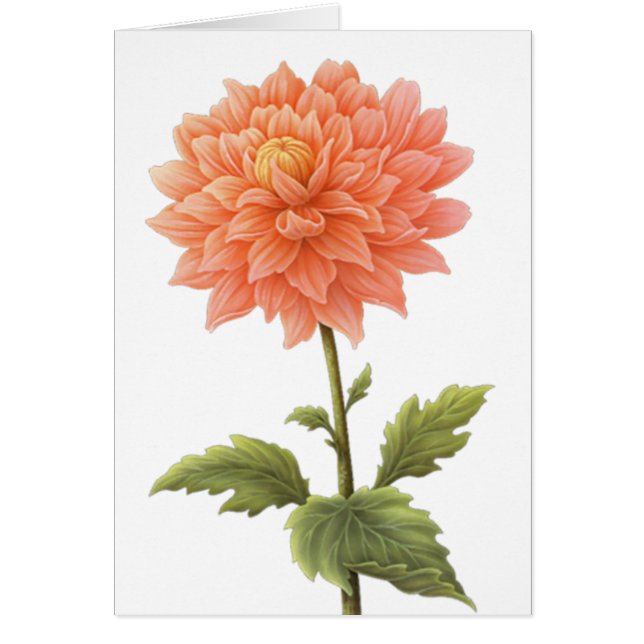 Floral Peach Orange Dahlia Flower Painting (Front)