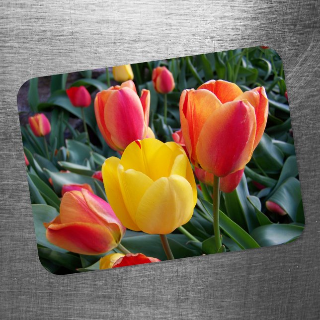 Floral Photo Magnet (Creator Uploaded)