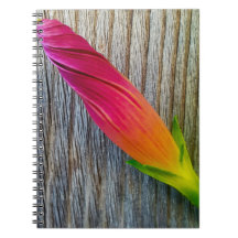 "Floral Photo