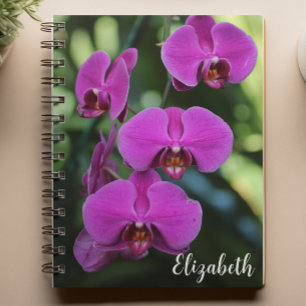 Floral Photography Elegant Purple Orchid Custom Notebook