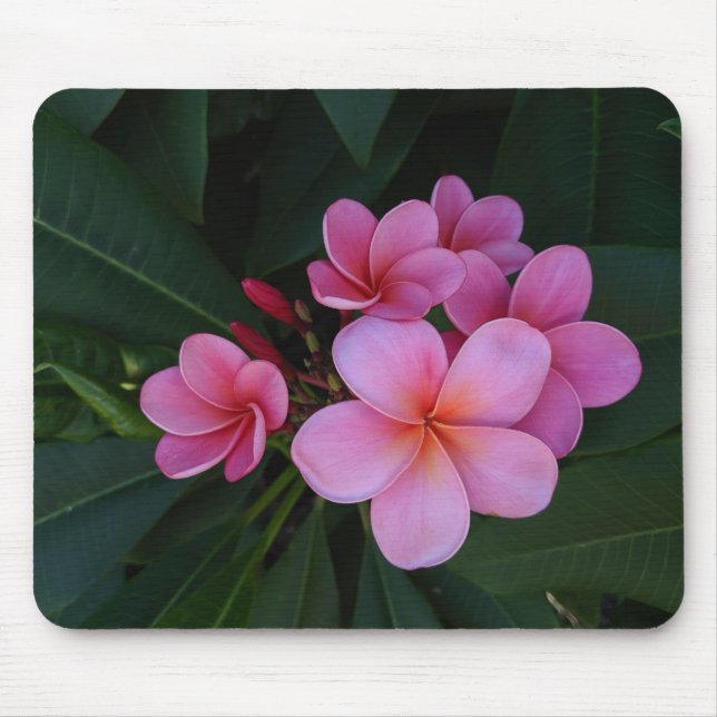 Floral Photography Mouse Pad (Front)