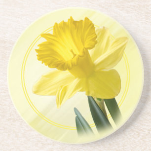 Floral Photography Yellow Daffodil Nature Pic Coaster