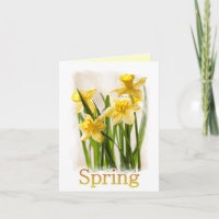 Floral Photography:  Yellow Spring Daffodils