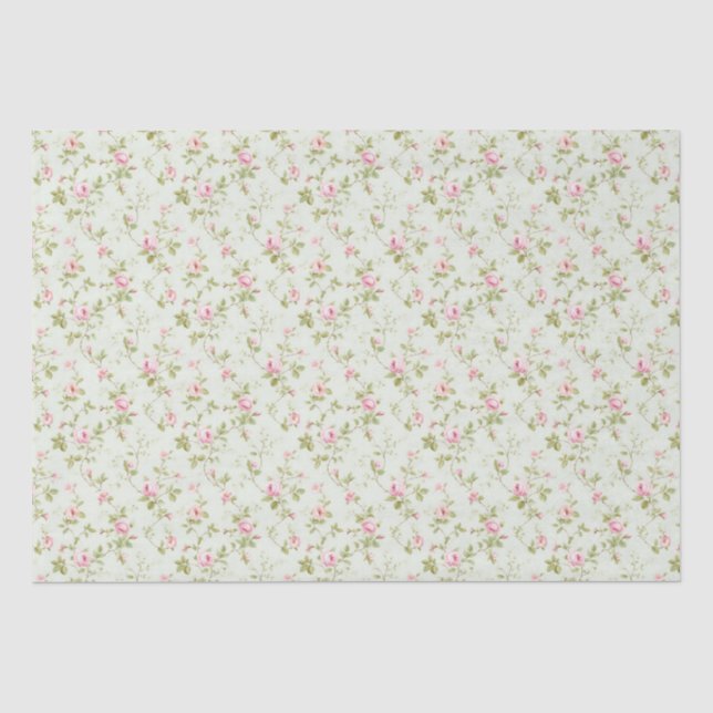 Floral Pink Cottage Roses Pattern  Tissue Paper (Front)