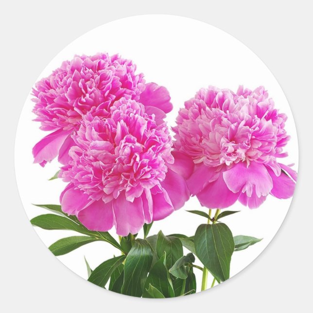 Floral Pink Fuchsia Peony Flower Bouquet Classic Round Sticker (Front)
