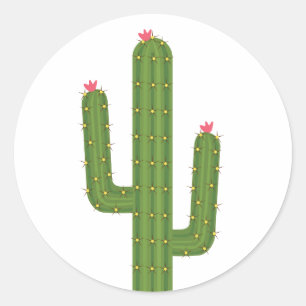 Floral Pink Love Green Cactus Pink Flowers Classic Round Sticker