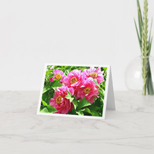 Floral Pink Peonies Flower Blank Thank You Card