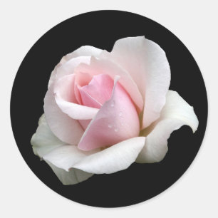 Floral Pink Rose Flower Black Wedding, Party Love Classic Round Sticker