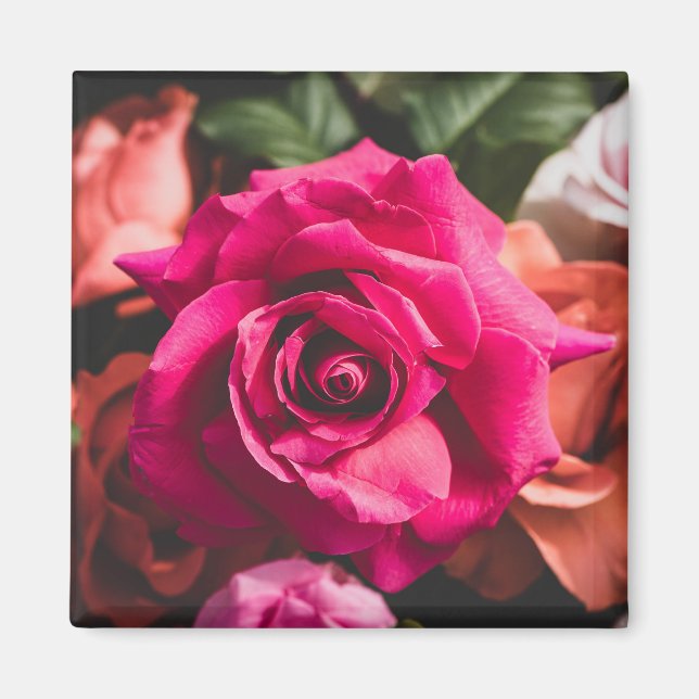 Floral Pink Rose Flower Petals Magnet (Front)