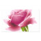 Floral Pink Rose Flower Sticker / Seal