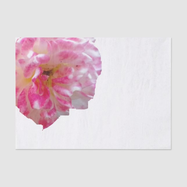 Floral plain background tissue paper (Front)
