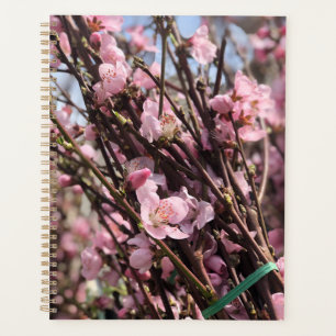 Floral Planner