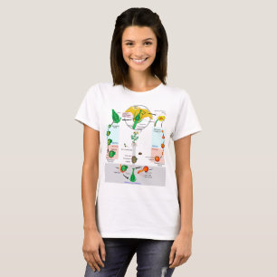 Floral Plant Angiosperm Life Cycle Diagram Chart T-Shirt