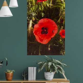 Floral Poppy Dreamer – Botanical Fantasy Art Poster