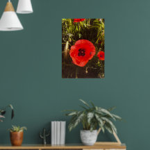 Floral Poppy Dreamer – Botanical Fantasy Art