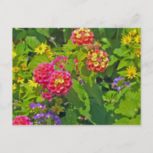Floral Postcard
