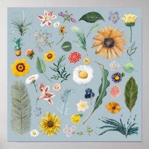 Floral Poster