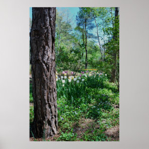 Floral Poster - 1