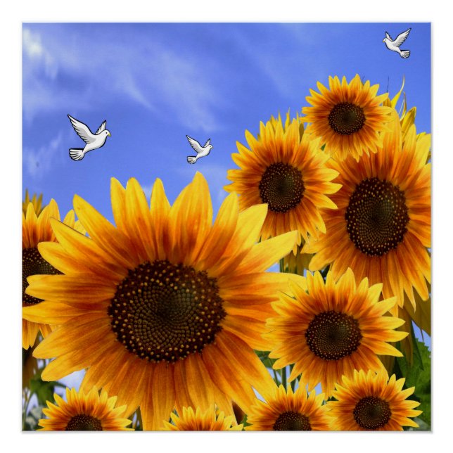 Floral Poster Sunflower (Front)