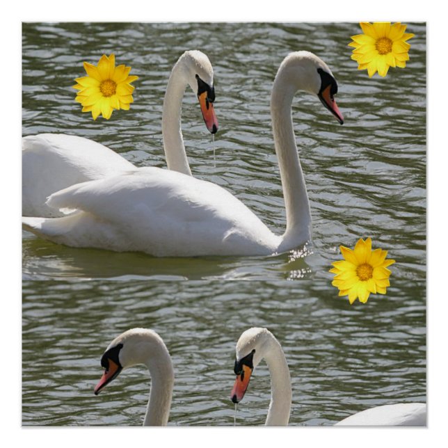 Floral Poster Swan (Front)