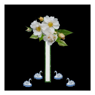 Floral Poster White Swan