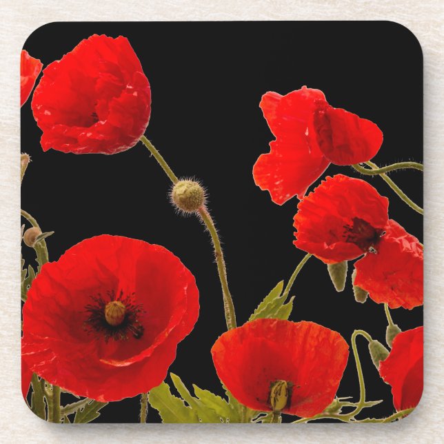 Floral Red Poppy Flowers Black Background Spring Coaster (Front)