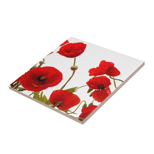 Floral Red Poppy Flowers White Background Colourfu Ceramic Tile (Side)
