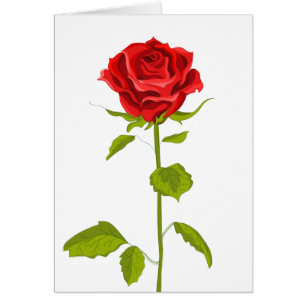 Floral Red Rose Flower Roses Wedding  Love Hello
