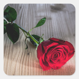 Floral Red Rose Flower Rustic Wood Background Square Sticker
