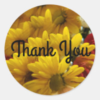 Floral Repeating Yellow Daises Thank You
