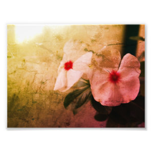 Floral Retro Image Kodak Professional Photo Print