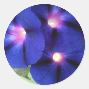 Floral Round Sticker