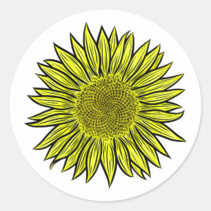 Floral Rustic Yellow Sunflower Hand Drawn Classic Round Sticker
