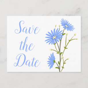 Floral Save The Date Blue Daisy Flower Engagement Postcard