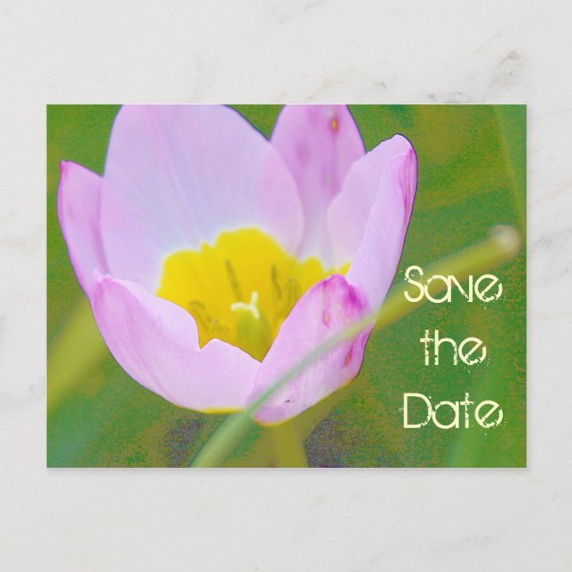 floral save the date postcard (Front)
