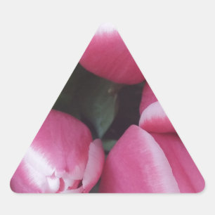 Floral Spring Bouquet of Pink Tulips, Flowers Triangle Sticker