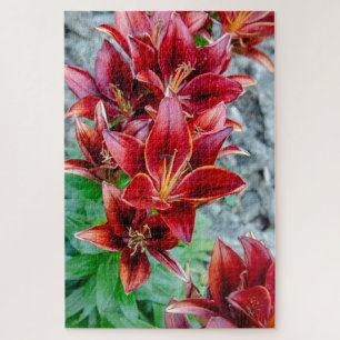 Floral Stargazer Lily, Red Canadian Flower Jigsaw Puzzle