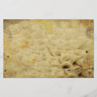 Floral Stationary Stationery