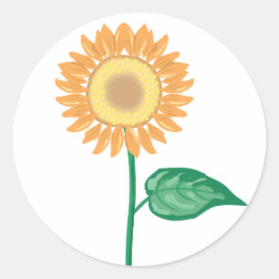 Floral Sunflower Gold Yellow, Green Flower Wedding Classic Round Sticker