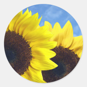Floral Sunflower Yellow Flower Wedding Classic Round Sticker