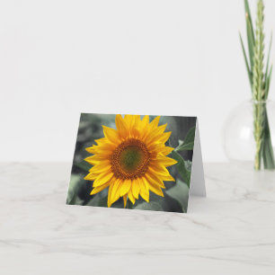 Floral Sunflower Yellow Flowers - Love, Hello etc. Card
