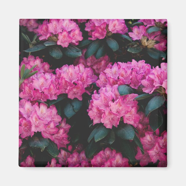 Floral Surface Pattern-Fashion Decorative abstract Magnet (Front)